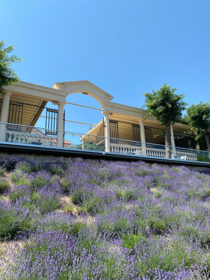 La Gioconda Boutique Hotel Odessa Buitenkant foto